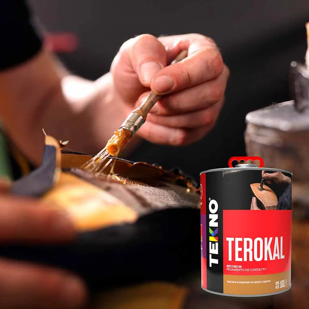 aplicacion terokal record 56